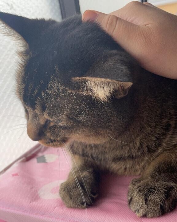 おはようございます☀️