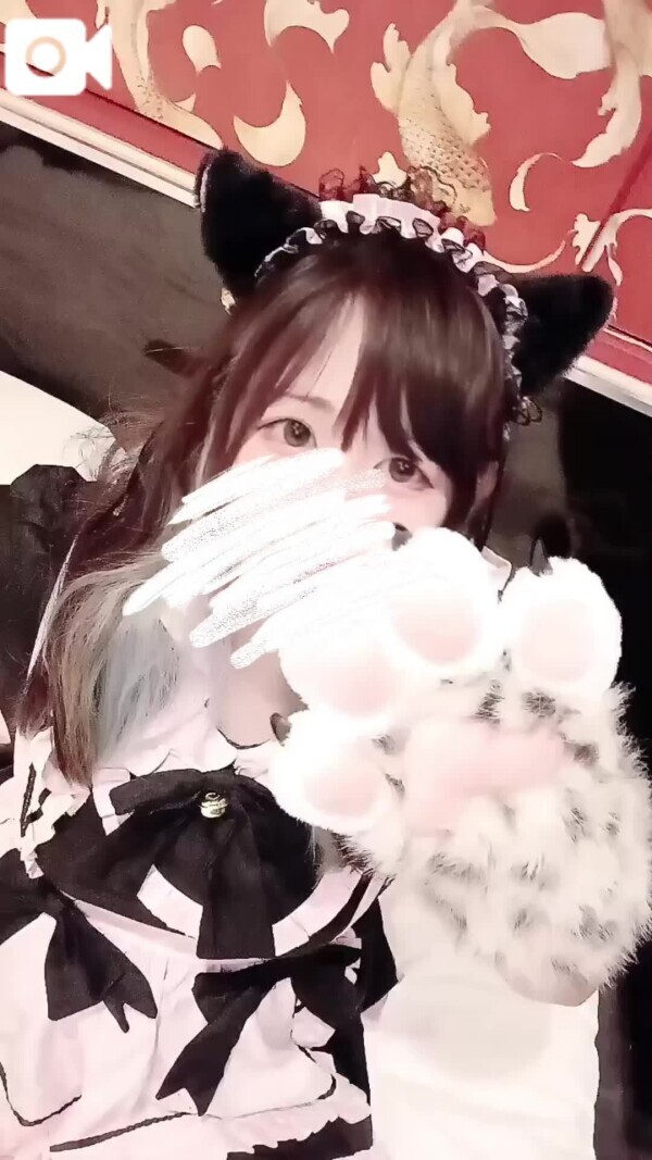 にゃーん😸❤️❤️