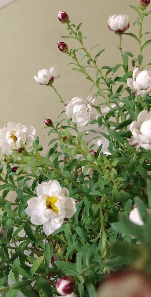 今日は  ありがとう😊