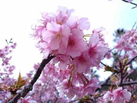 ありがとうございます😊