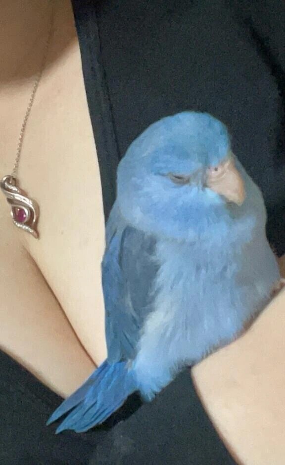 ひなたの体のこと