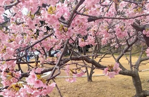 ありがとうございました😊