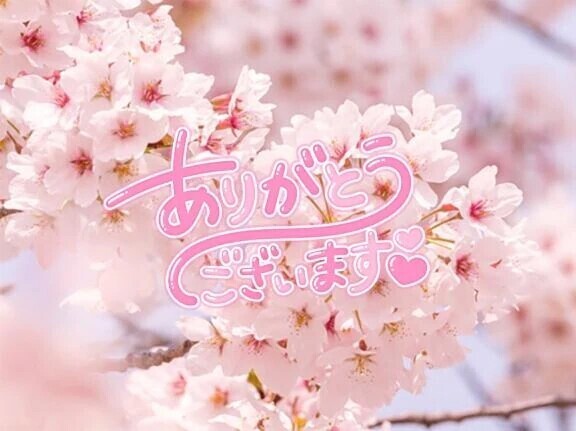 お礼日記💌