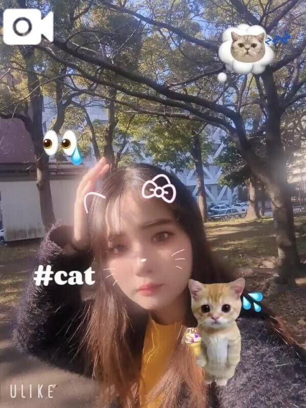 次回24時頃〜🩷