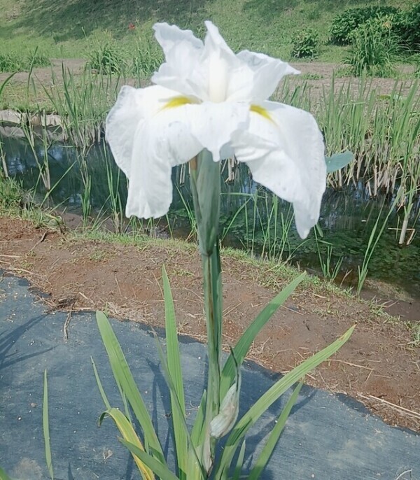 出勤します♡