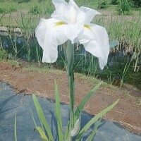 出勤します♡
