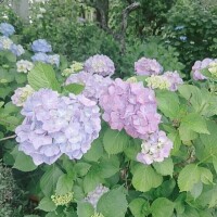 こんばんは😊