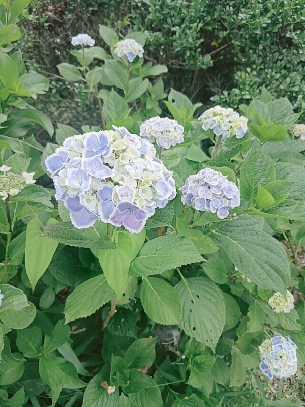 ありがとうございました💓