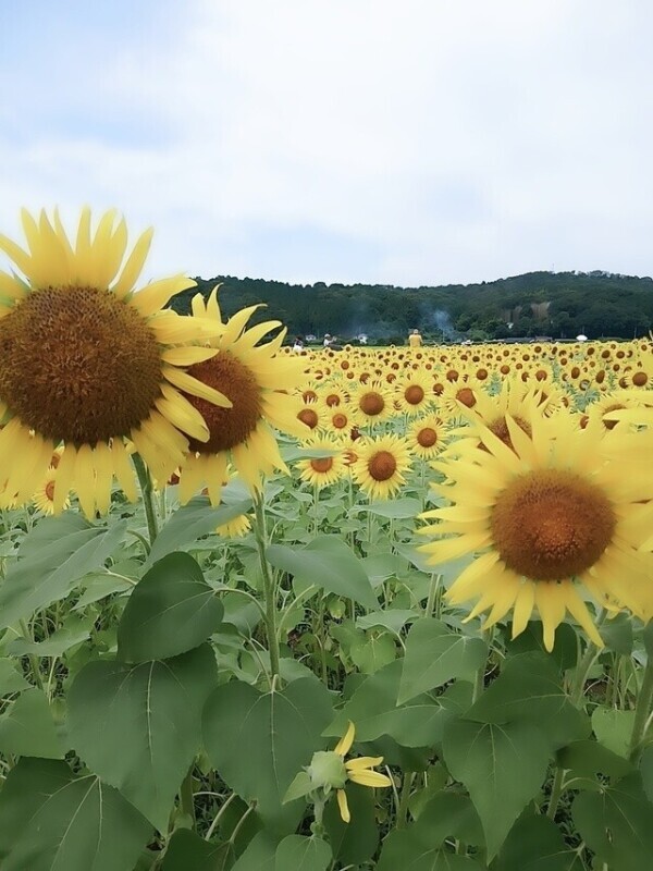こんばんは💛