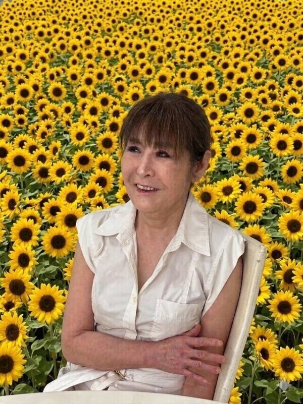 ひまわり