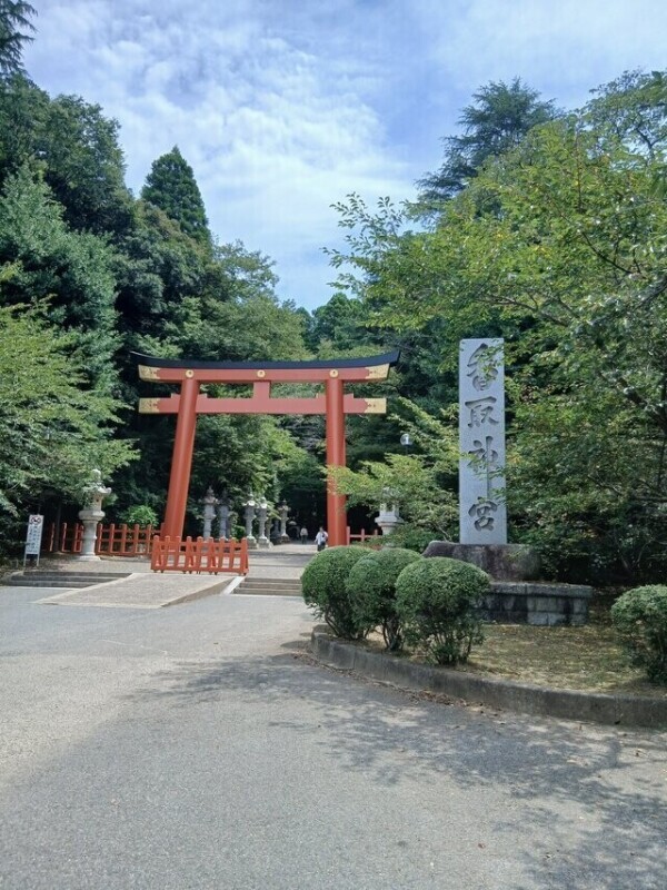 🌺来週🌺