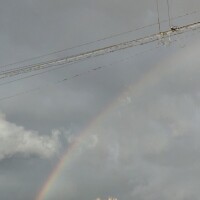 次回出勤予定❤