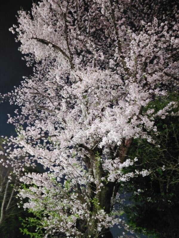 急遽出勤❤