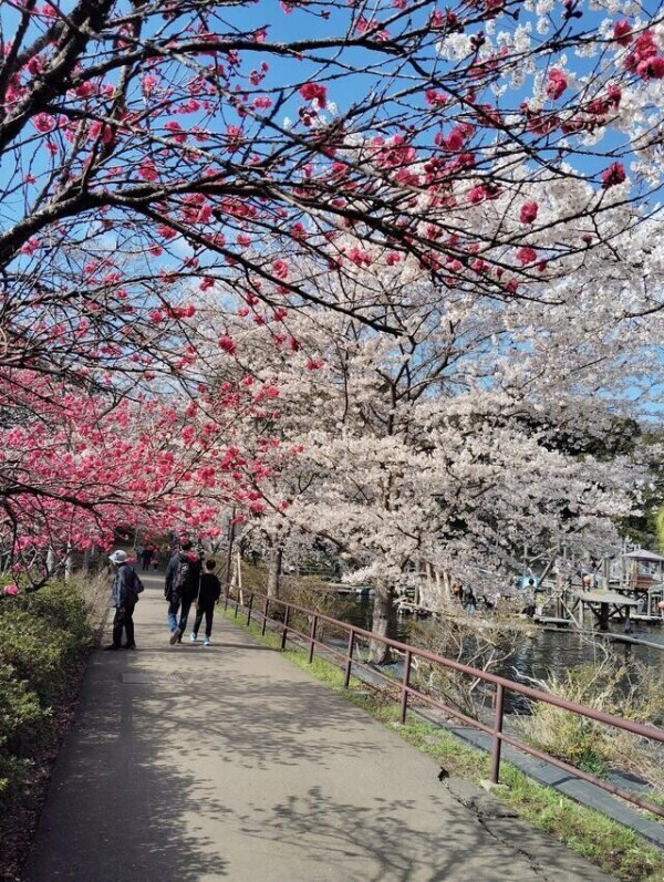 出勤しています