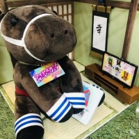ひびき【Ｓ】