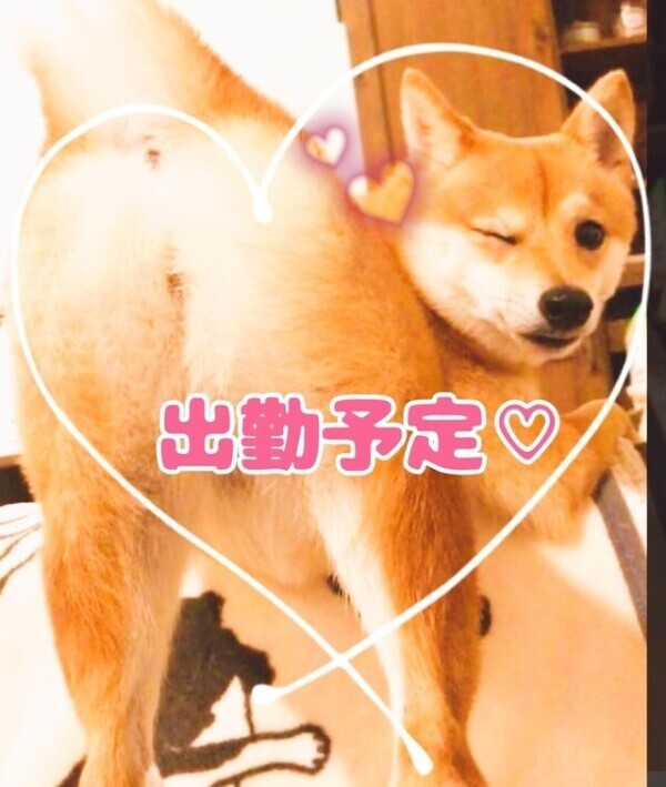おはようございます☺️