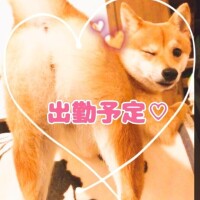 おはようございます☺️