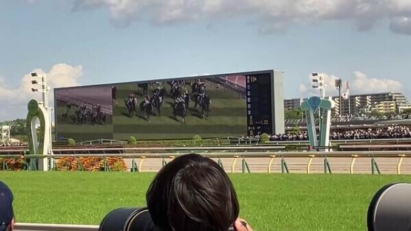 🩷推し活＆ダービー馬🐴🩷