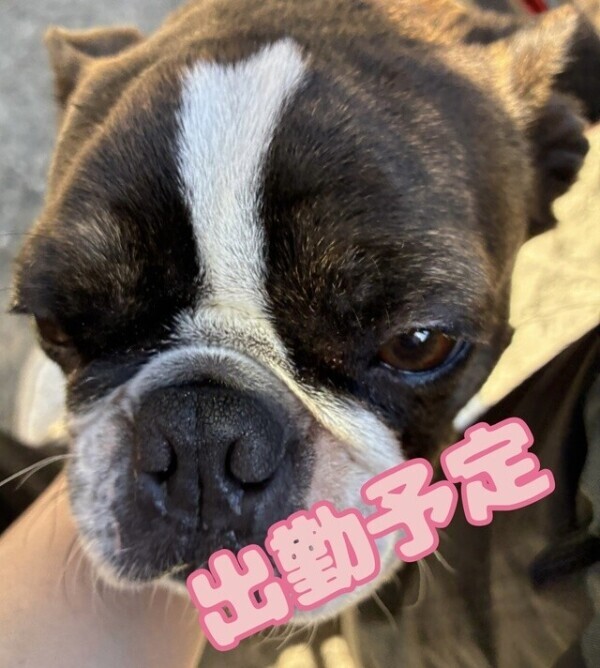 来週の出勤予定です💟