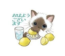 出勤します?