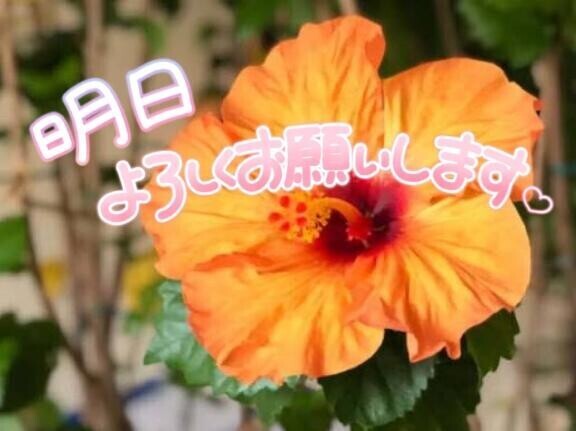 明日の月曜日?出勤するよ