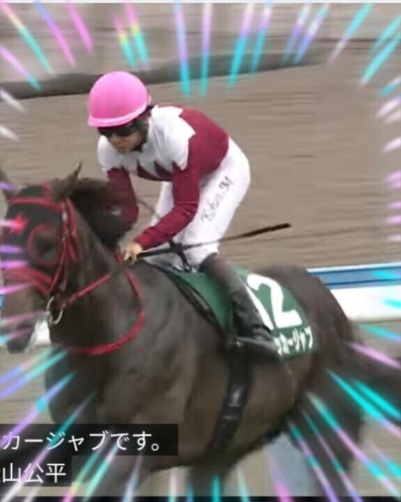 芦毛ちゃん達は残念