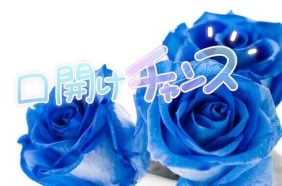 スタートからいてますっ