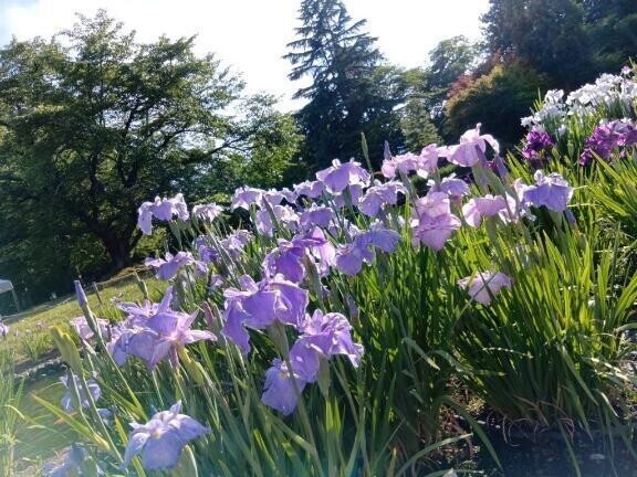 初めまして