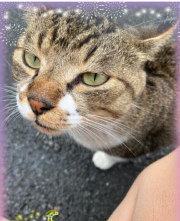 最近?