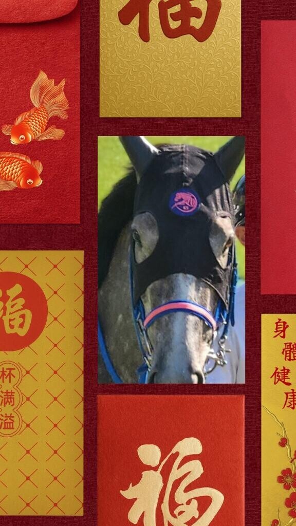 ティラーノ君?
