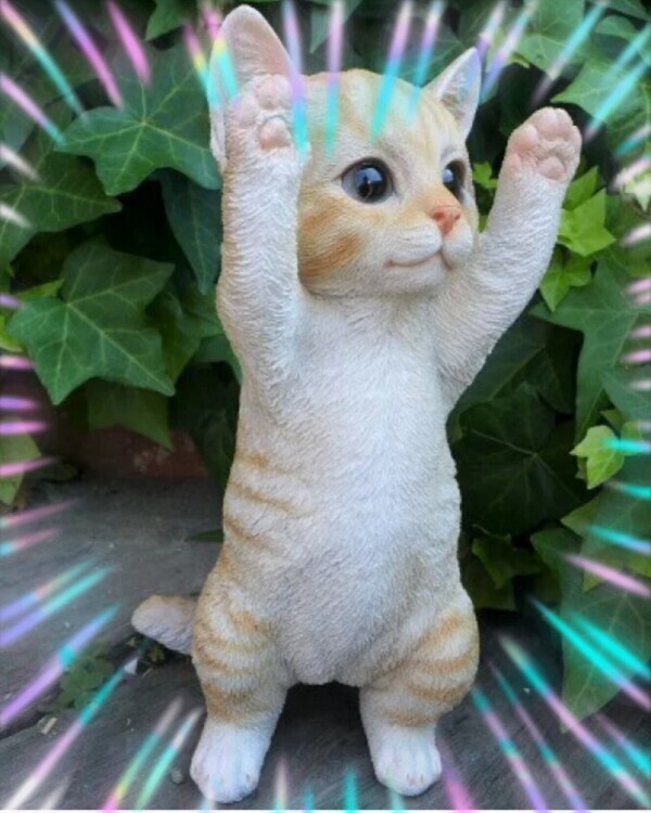 事前予約ありがとうございます♪♪