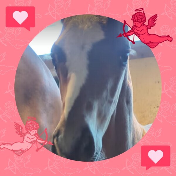 可愛い❤(ӦｖӦ｡)❤(ӦｖӦ｡)❤(ӦｖӦ｡)