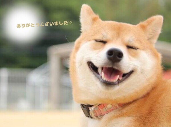 ☆☆☆感謝な、気持ち(ㅅ´꒳` )☆☆☆