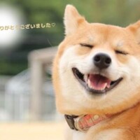 菅野