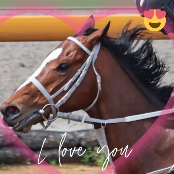 ドバイ組も頑張って〜〜❤(ӦｖӦ｡)♪♪♪