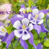 菅野