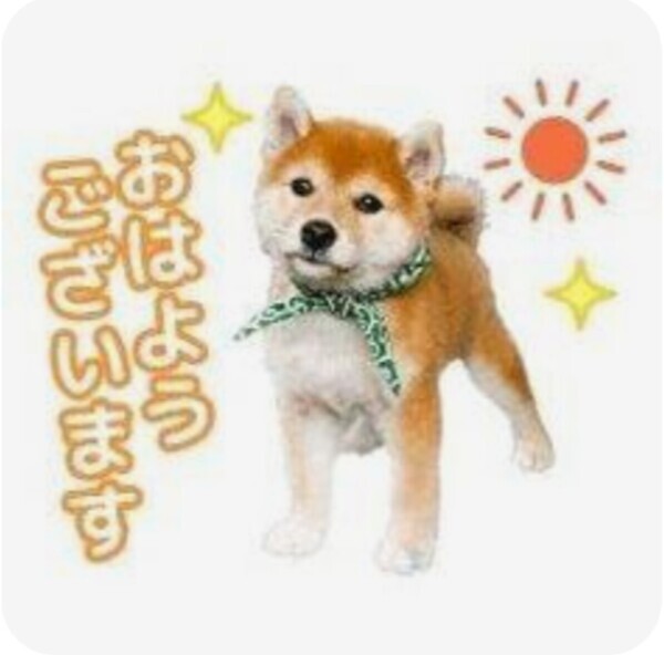 出勤します