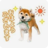 庄司