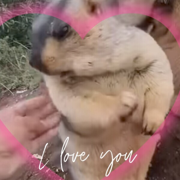 最近のお気に入り❤(ӦｖӦ｡)