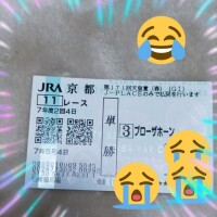 本上