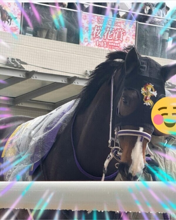 リンクスティップかなぁ〜♪ヽ(｀▽´)/♪