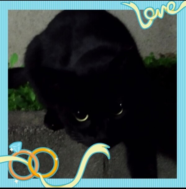 安否確認♪出来ました❤(ӦｖӦ｡)❤(ӦｖӦ｡)