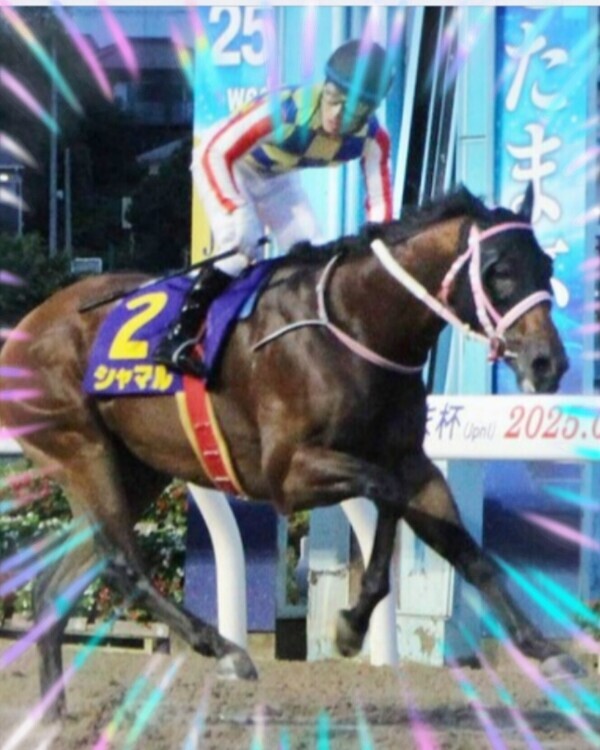 シャマル君♪♪♪ヽ(｀▽´)/♪♪♪