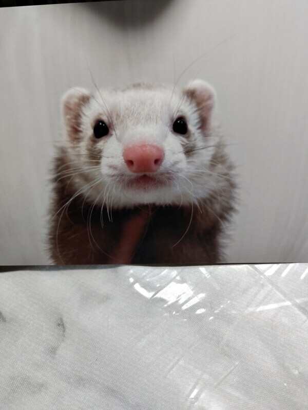 7月ですね