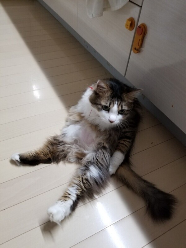 今村です
