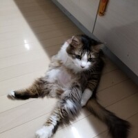 今村