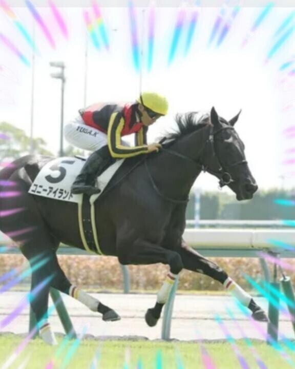 勝ちました〜ヽ(｀´)/