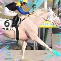 本上