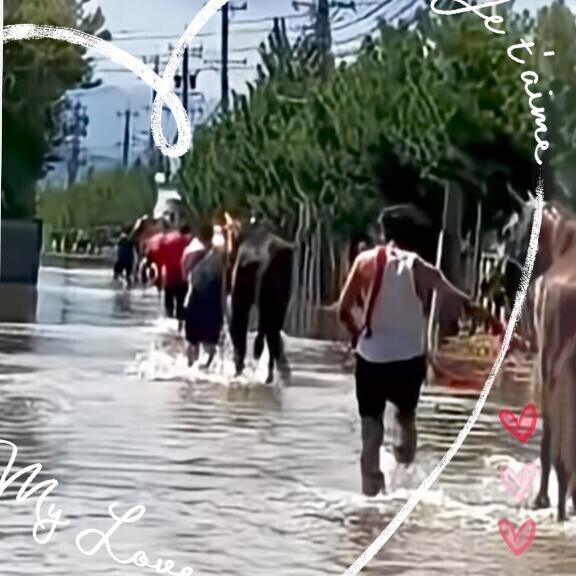 避難?