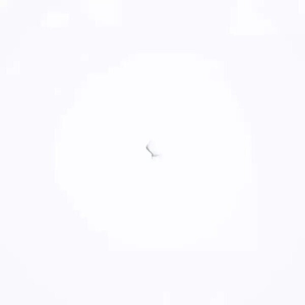 明日は8の日ですよ🩷